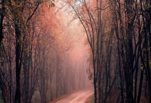 欧陆娱乐官网：0比2！现场70588人注视下，国足输了，继续垫底…….