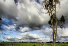 欧陆娱乐官网：渔民放置鱼笼捕获很多鱼，竟穿在鱼钩丢入海中，钓上来大石斑.